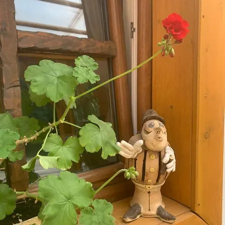 招待所 Turista 3*